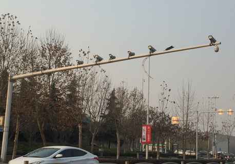 1571032555706559.png image.png